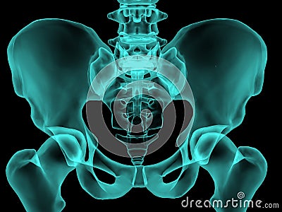 X-ray human bones â„–3 Stock Photo